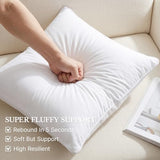Leeden 18 x 18 Pillow Inserts (Set of 2) - Throw Pillow Inserts with 100% Cotton Cover - 18 Inch Square Decorative Pillows for Sofa, Couch, Bed and Home Decor