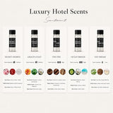Scentiment Luxury Hotel Scents – 5 Diffuser Oil Set | Secret Desires, Day Dream, The One, Ocean Breeze & Amalfi Coast | Fresh Floral, Woody & Citrus Scents Home Fragrance Oils 5 x 0.68 fl oz (20 mL)