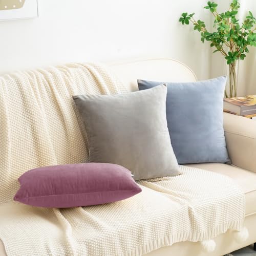 HWY 50 Purple Pink Throw Pillow Covers Velvet 18x18 Inch Pack of 2