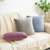 HWY 50 Purple Pink Throw Pillow Covers Velvet 18x18 Inch Pack of 2