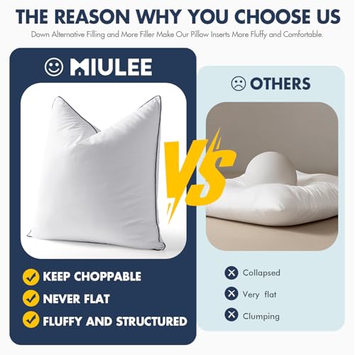 MIULEE 24x24 Euro Pillow Inserts, Fluffy Down Alternative Filling Pack of 2 Ultra Soft Throw Pillows for Bed Sofa Couch
