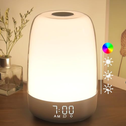Touch Wake Up Night Light with Sunrise Simulation Alarm Clock, 3 Ways Dimmable Warm White Bedside Lamp for Kid