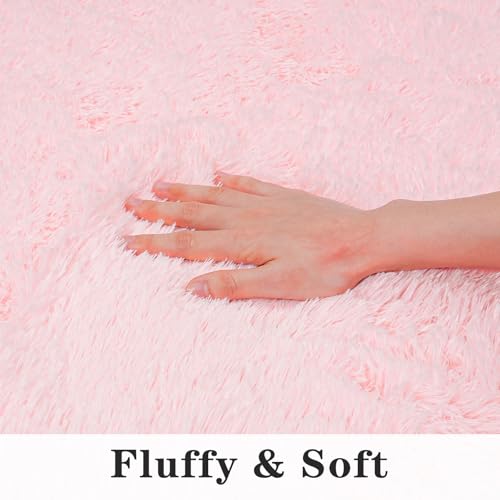 Dssimo Super Fluffy Throw Rugs for Bedroom, Modern Shag Pink Area Rug, Soft and Cozy Plush Small Carpet for Kids,Girls Boys and Teens Decorations for Living Room Dorm Nursery Classroom, 2x3 Feet
