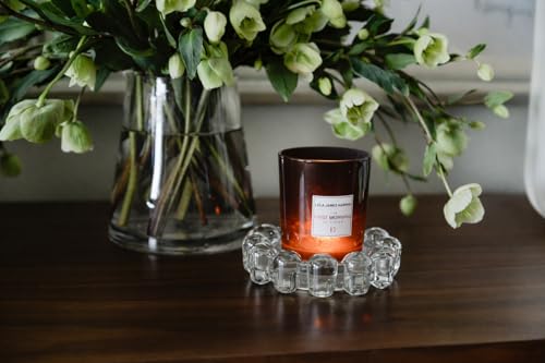 Home Collection Original Clear Glass Small Bubble Candle Dish