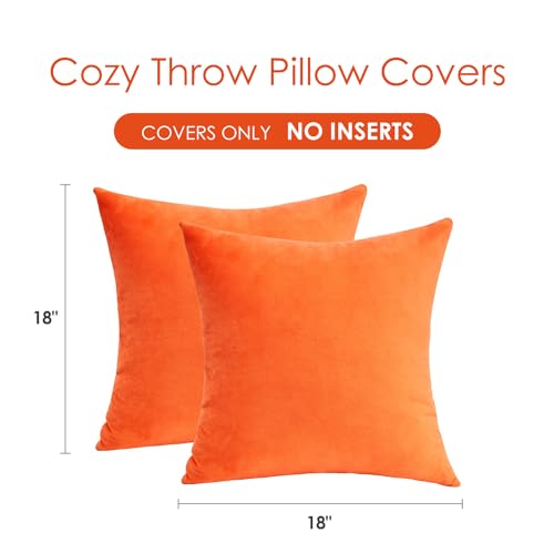 Fall Orange Throw Pillow Covers Decorative Velvet Set of 2 18x18 Inch Pillow Covers, Soft Burnt Orange Pillowcases for Couch Sofa Bed Living Room, Farmhouse Boho Decor, Accent Cushion Covers