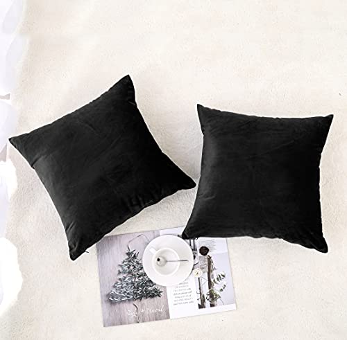 NiNi ALL Throw Pillow Covers 18x18 Inch, Pack of 2 - Black Velvet Decorative Cases for Outdoor Garden Farmhouse Cushion Caes Modern HomeDecor for Sofa Bed Chair