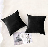 NiNi ALL Throw Pillow Covers 18x18 Inch, Pack of 2 - Black Velvet Decorative Cases for Outdoor Garden Farmhouse Cushion Caes Modern HomeDecor for Sofa Bed Chair