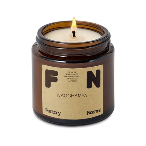 Scented Soy Candle Amber Jar Perfume Candle Aroma Healing Gift (4oz, Nagchampa)