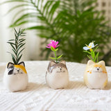 MOUGIGI 3PCS Mini Flower Vases–Unique Small cat vase-Cute Ceramic Bud Vases for Single Stem Flowers & Cat Whisker-Home Decor for Desks & Bookshelves-Ideal Gift for Cats Lovers & Flower Enthusiasts
