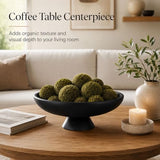 QIANLING Large Black Decorative Bowl, Modern Resin Pedestal Fruit Bowl, Matte Footed Centerpiece for Kitchen Counter, Coffee Table, Entryway Key Catch All, Home Decor
