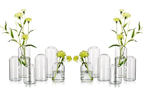 Glass Bud Vases for Flowers - Hewory Blown Modern Small Glass Vases for Centerpieces Set of 12, Mini Clear Bulk Flower Vases for Wedding Party Events Home Decor Floral Arrangement (Not Include Flower)