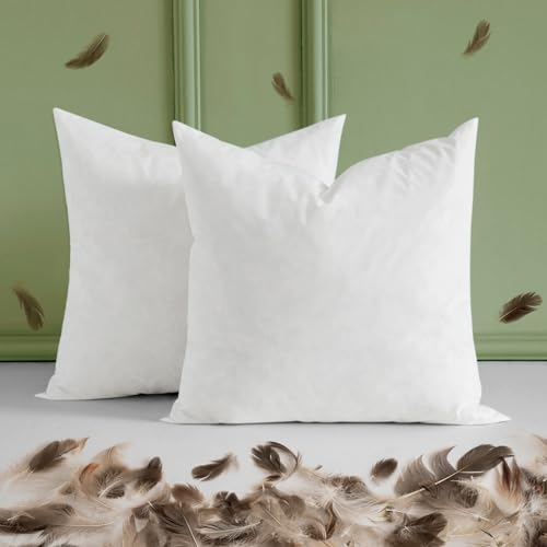 MIULEE Pack of 2 18 * 18 Corduroy Soft Soild Decorative Square Throw Pillow Covers Christmas Red and Pack of 2 18x18 Feather Pillow Inserts for Sofa Bed