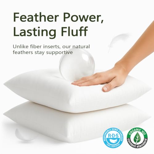 DWR Set of 2 Feather Down Throw Pillow Inserts 12x20 with Organic Cotton Cover, Feather Rectangular White Decorative Pillow Inserts for Bed, Sofa, and Couch