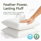 DWR Set of 2 Feather Down Throw Pillow Inserts 12x20 with Organic Cotton Cover, Feather Rectangular White Decorative Pillow Inserts for Bed, Sofa, and Couch