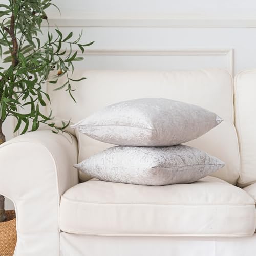 NiNi ALL Velvet Pillow Covers 18x18 Inch, Set of 2 Silver Throw Pillows Decorative Luxurious Cushion Cases for Sofa Bed Chair Couch Living Room Home