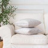 NiNi ALL Velvet Pillow Covers 18x18 Inch, Set of 2 Silver Throw Pillows Decorative Luxurious Cushion Cases for Sofa Bed Chair Couch Living Room Home