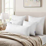 MIULEE 20 x 20 Pillow Inserts (Set of 2) -Throw Pillows for Couch Sofa with 100% Cotton Covers