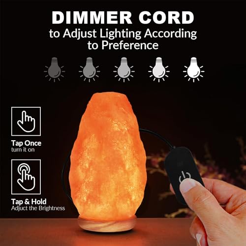 WBM LLC Himalayan Glow Natural Pink Salt Lamp, Crystal Salt Lamp Night Light with (ETL Certified) Brightness Control Dimmer Switch, Wooden Base & Salt Lamps Bulb | 6-8 LBS, Model Number: 1001