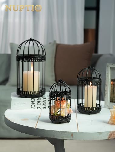 NUPTIO Black Decorative Bird Cage, Birdcage Lantern for Pillar Candles