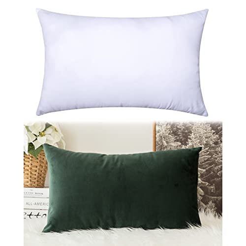 MIULEE Velvet Soft Soild Decorative Square Throw Pillow Cover and Throw Pillow Insert Hypoallergenic Premium Pillow 12 x 20 Inch 30 x 50 cm Army Green