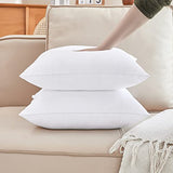 Qeils 12 x 20 Pillow Inserts Set of 2 White Throw Pillow Inserts with Soft Polyester Cover - Rectangle Square Interior Sofa Pillow Inserts Decorative Pillow Insert White Couch Pillow