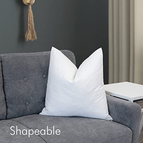 Westex Premium Feather Throw Pillow Insert, 22" x 22"