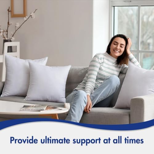 MIULEE 12x20 Pillow Inserts,Down Alternative Pack of 2 Decorative Throw Pillows for Sofa Couch Bed, Ultra Soft Fluffy Bed Sleeping Form