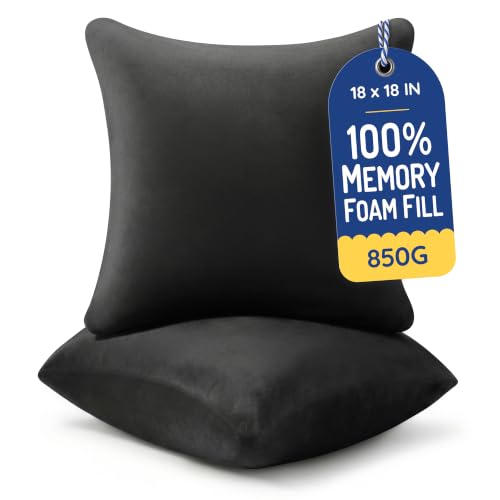 AM AEROMAX 18x18 Memory Foam Throw Pillow Inserts, 2 Pack, Square, Black