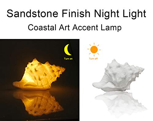 GREENIC Portable Conch Shell Beach Themed Night Light w Timer for Kids Adults Bedroom Nightstand Lamp Nautical Lighting Battery Operated, Warm White