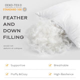SAVORI Set of 2 Down and Feather Throw Pillow Inserts 22x22 Soft Fluffy Pillow Inserts with 100% Down-Proof Cotton Cover, Decorative Square Cushion Inner for Sofa Couch Bed-White