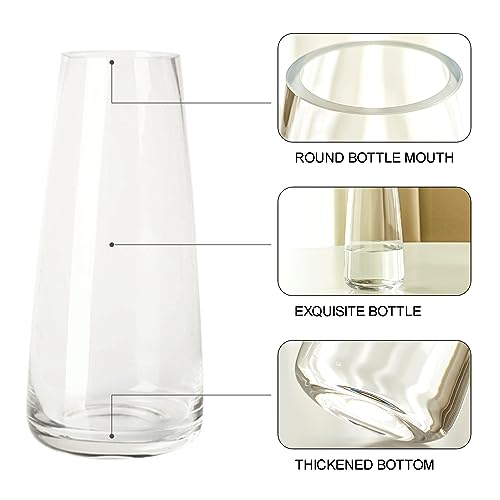 Aoderun Glass Vase for Flowers Modern Vases Home Decor Unique Flower Vase for Bouquet 8.7" Centerpiece Vase Decor Room,Bedroom,Living Room,Library,Office,Table,Entryway,Modern Farmhouse(Clear)