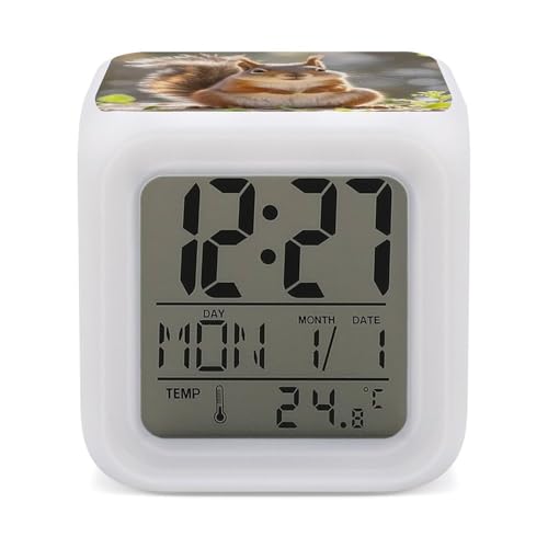 Squirrel Funny Animal Digital Alarm Clock for Heavy Sleepers Small Wake Up Digital Clock with Date Temperature 7 Colors Changing Desk Clock for Bedroom Bedside Nightstand