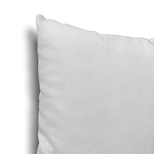 EDOW Throw Pillow Inserts, Set of 2 Lightweight Down Alternative Polyester Pillow, Couch Cushion, Sham Stuffer, Machine Washable. (Grey, 18x18)