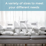 Artscope Outdoor Waterproof Throw Pillows Inserts Set of 2, Premium Fluffy Decorative Square Form Cushion Stuffer Inner Soft for Patio Furniture Garden Bench Tent Couch Balcony, 12x20 Inch