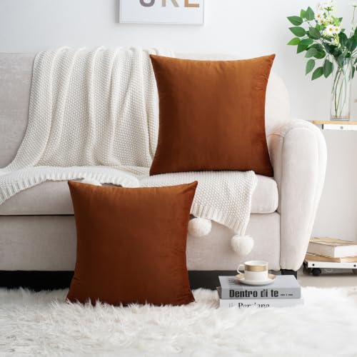 HWY 50 Burnt Orange Throw Pillow Covers Velvet 18x18 Inch Pack of 2