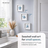 TideAndTales Blue Seashells and Starfish (Framed Set of 3) Coastal 3D Wall Art, Beach Wall Decor for Bathroom or Coastal Bedroom, Ocean Inspired Seaside Decorations for Home or Beach House (7"x7")
