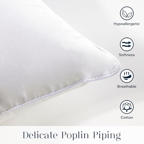 Phantoscope 18x18 Pillow Insert - Throw Pillow Insert with 100% Cotton Cover - 18 Inch Square Form Microfiber Pillow Sham Stuffer - Couch Cushion Pillows, 1 Count (Pack of 1)