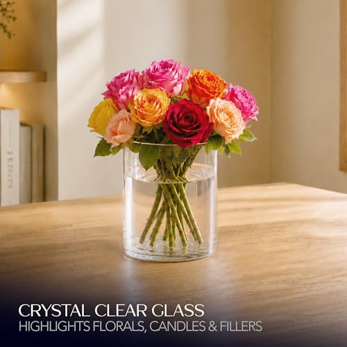 Royal Imports Flower Glass Vase Decorative Centerpiece for Home or Wedding - Cylinder Shape, 8" Tall, 6" Opening, Clear