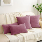 HWY 50 Purple Pink Throw Pillow Covers Velvet 18x18 Inch Pack of 2