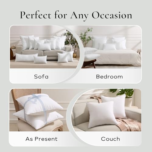 Throw Pillow Inserts (Pack of 2, 12 x 20 Inches, White) - Hypoallergenic 100% Virgin Fiber Lumbar Pillow Form Microfiber Throw Pillows for Bed and Couch Pillows | Indoor Decorative Pillow