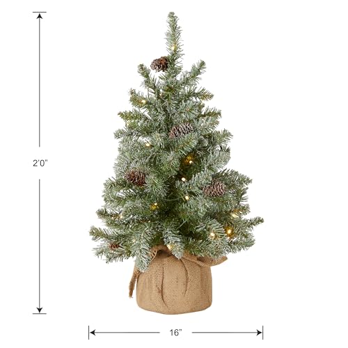 National Tree Company 2 ft Pre-Lit Flocked Mini Artificial Christmas Tree, 50 Clear LED Lights, 75 Tips, Pinecones, Burlap Base, Timer, Green