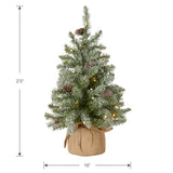 National Tree Company 2 ft Pre-Lit Flocked Mini Artificial Christmas Tree, 50 Clear LED Lights, 75 Tips, Pinecones, Burlap Base, Timer, Green