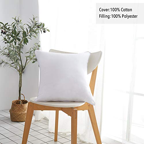 Oubonun 20 x 20 Throw Pillow Inserts (Set of 2) & 22 x 22 Pillow Inserts (Set of 2)