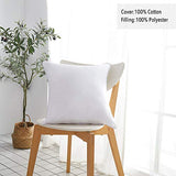 Oubonun 20 x 20 Throw Pillow Inserts (Set of 2) & 22 x 22 Pillow Inserts (Set of 2)