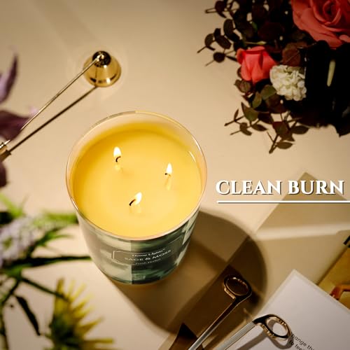 Home Lights 3-Wick Candles for Home Scented - 34oz Soy Wax Candle Long-Lasting Fragrance, Scandinavian Minimalist Design Home Decor and Housewarming Gifts, Sage & Moss
