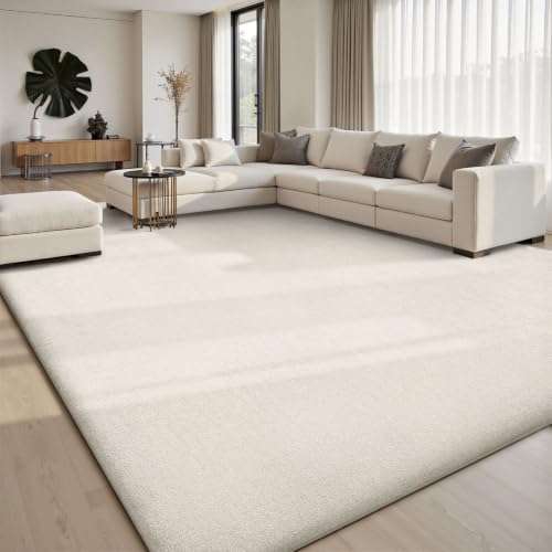 Sour Lemon 4x6 Area Rugs for Living Room Bedroom, Washable Rug Carpet