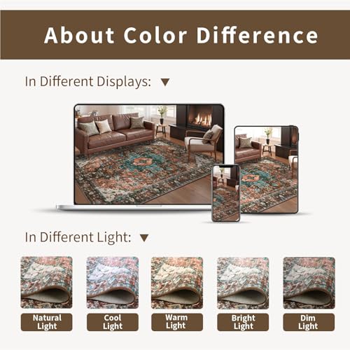 Ciicool Washable 2x3 Entry Rug, Small Rugs for Entryway Kitchen Bathroom Door Mat Indoor Entrance, Non Slip Rubber Backing, Stain & Fade Resistant,Oriental Low-Pile Throw Carpet