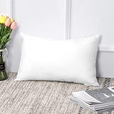 OTOSTAR 16x24Inch Throw Pillow Inserts, Set of 1 Rectangle Form Cushion Stuffers for Couch, Sofa, Bed - Indoor Decorative Pillows Inserts
