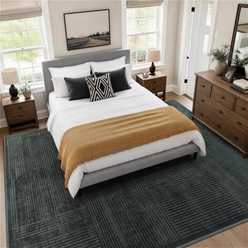 8x10 Washable Area Rug, Checkered Rug for Living Room(8x10,Black-L)