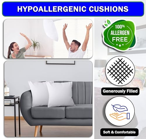 GVTECH Bedding Throw Pillows Insert (Pack of 2) 16 x 16 Inches Bed and Couch Pillows - Indoor Decorative Pillows - Cushion Stuffer Inserts - Anti Allergy Cotton Blend Fabric, White